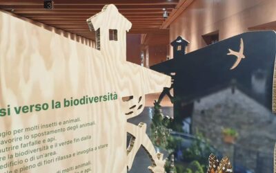Biodiversità, c’è vita in città!